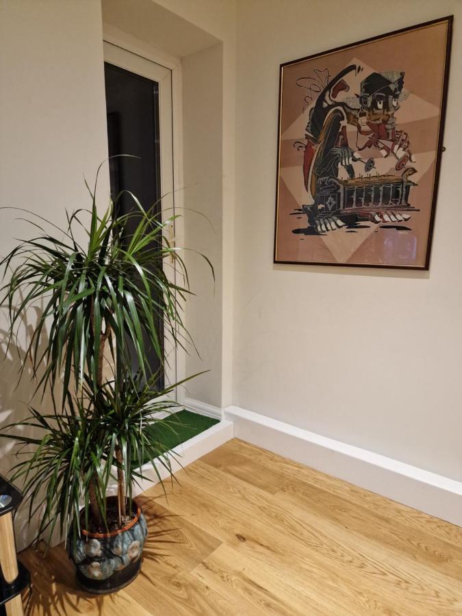 Muswell Hill Apartment Free Parking Лондон Екстериор снимка